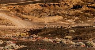 中超-奥斯卡送助攻杨云染红 沧州1-1三镇13轮不胜